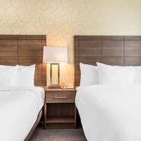 Double Room with Two Double Beds