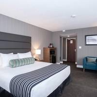 Corporate King Room