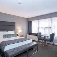 Corporate Queen Room