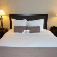 Business Queen Room - Non-Smoking