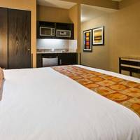 King Room with Roll-In Shower - Disability Access