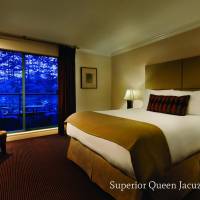 Queen One Bedroom Jacuzzi Suite