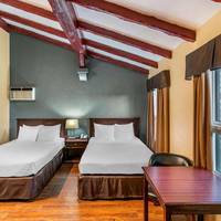 Standard Double Room with Two Double Beds
