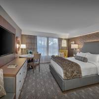 Deluxe Room with One King Bed