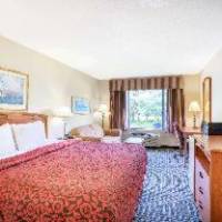 Room #5712618