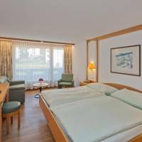 Comfort Double Room with Balcony and Mountain View