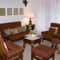 One-Bedroom Apartment - Petersen