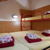 Dormitory Room with Shared Bathroom (3 Adults)