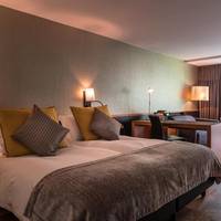 Deluxe Business Room