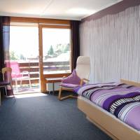 Single Room with Balcony and Eiger View