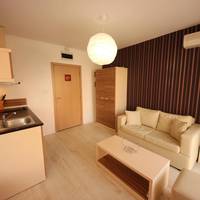 Family Studio (4 Adults)