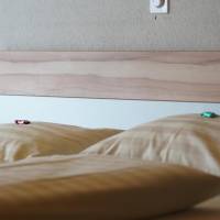Budget Double or Twin Room