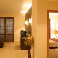 Standard One-Bedroom Apartment