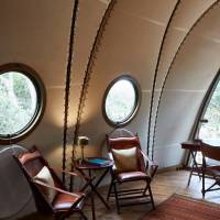 Cocoon Suite with One Free Game Drive 
