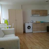 Deluxe Studio with Terrace