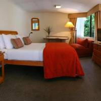 Room #23812606