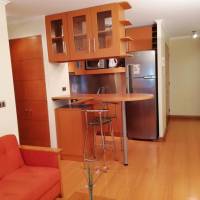 One-Bedroom Single Apartment