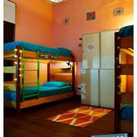 Single Bed in Female Dormitory Room (6 Adults)