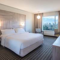 Deluxe King Room with View