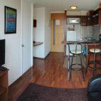 One-Bedroom Apartment (2 Single Beds)
