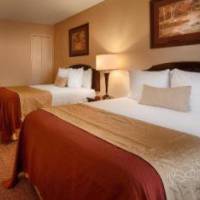 Room #30017539