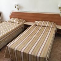 Twin Room with Balcony