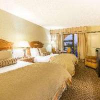 Room #38736625
