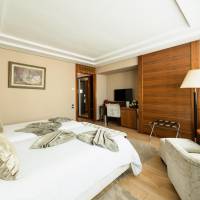 Premium Double Room