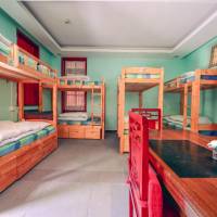 Single Bed in Multi-Bed Dormitory Room (Male)