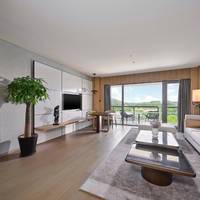 Executive Suite,one bedroom,King