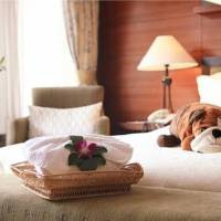 Deluxe Suite B