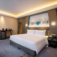 Mainland Chinese Citizens - Deluxe King Room