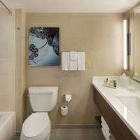 One King Bed - One Bedroom Suite
