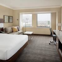 Deluxe One King Bed