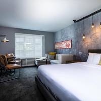 Guest room, 1 King, No view