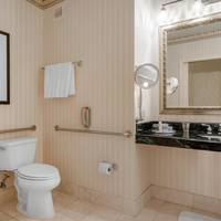 ADA Deluxe Room - 1 King Bed with Roll-in Shower