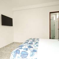 Standard  Double Room