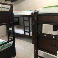 Single Bed in 6-Bed Dormitory Room