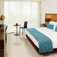 Room #29415911