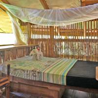 Single Room with Garden View