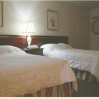 Double Room with Two Double Beds