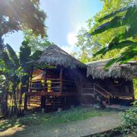 2 Bedrooms Jungle House 