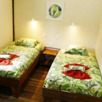 Standard Double Room with Shared Bathroom