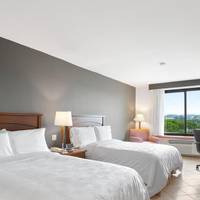 Twin Room with View