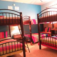Bed in 6-Bed Dormitory Room