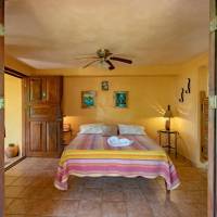 Queen Room with Jungle View