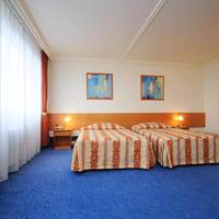 Executive Double or Twin Room with Free Parking