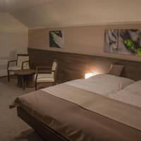 Deluxe Double or Twin Room with Balcony