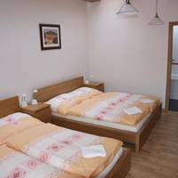 One-Bedroom Apartment (4 Adults)