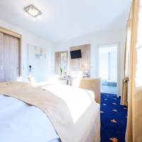 Superior Double Room with City View
